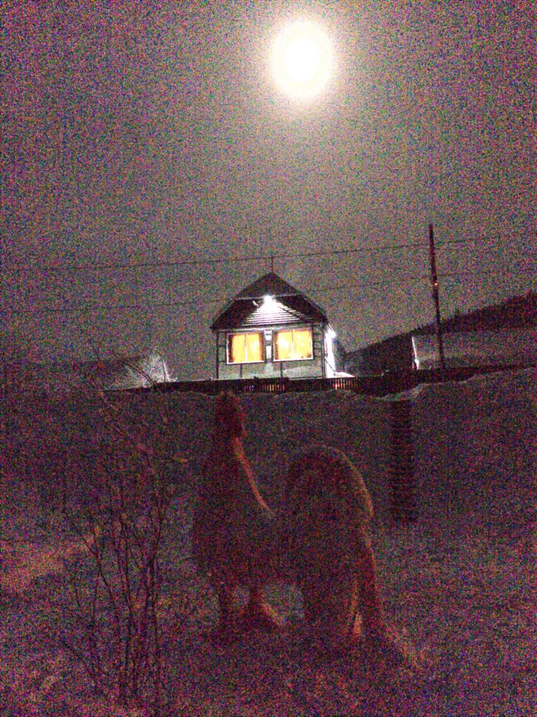 Береть, луна, ночь, домик